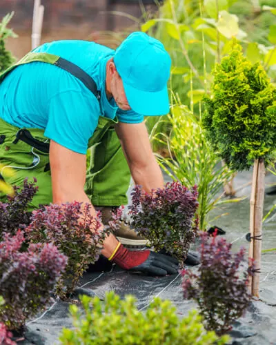Gartengestaltung und Gartenlandschaftsbau