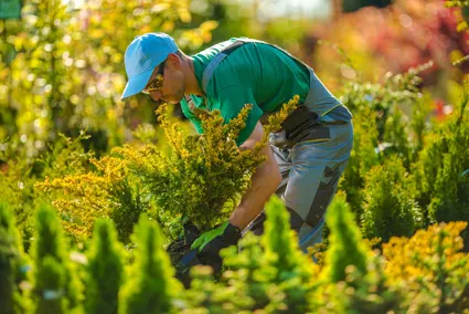 Gartengestaltung und Gartenlandschaftsbau